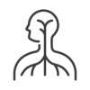 Neuro Medicine Specialist